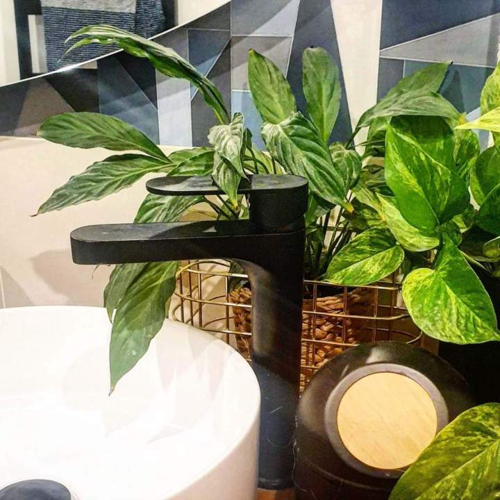 Robinetterie Orvault